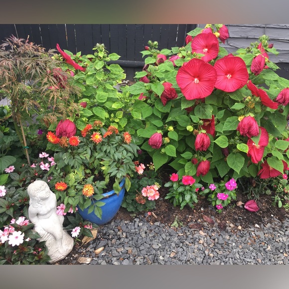 Meet your Posher, A Late Bloomer - Picture 15 of 15